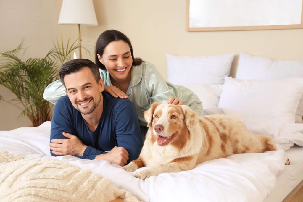 shutterstock_2540210257 1 - Crosspointe Recovery: Rehab, IOP and PHP Programs California’s Best Pet-Friendly Rehab Center Near You