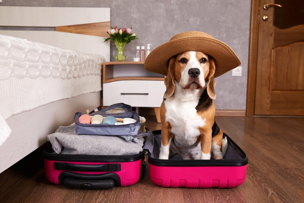 What to Pack for Rehab: A Complete Checklist